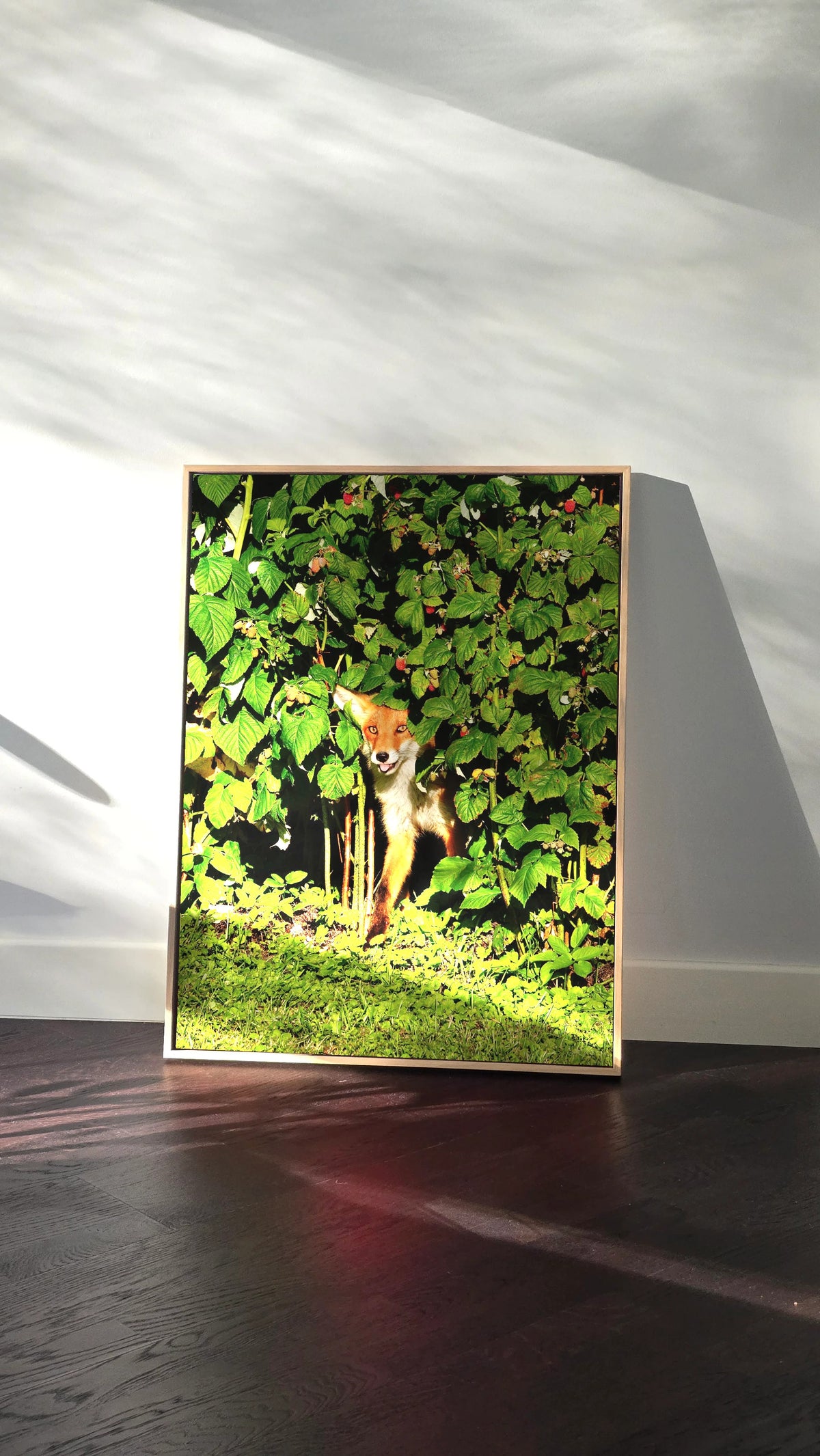 the-red-fox-framed-canvas