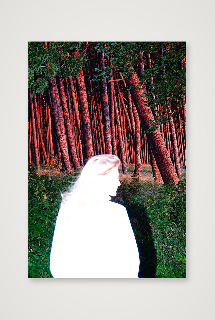 Lou, Flash, Forest - Limited Edition — 53×80cm, 21×31" Print only