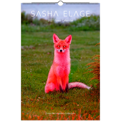 2027 Foxes Calendar