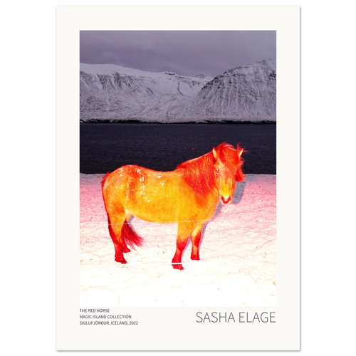 The Red Horse, fine art photograph by Sasha Elage, Magic Island collection