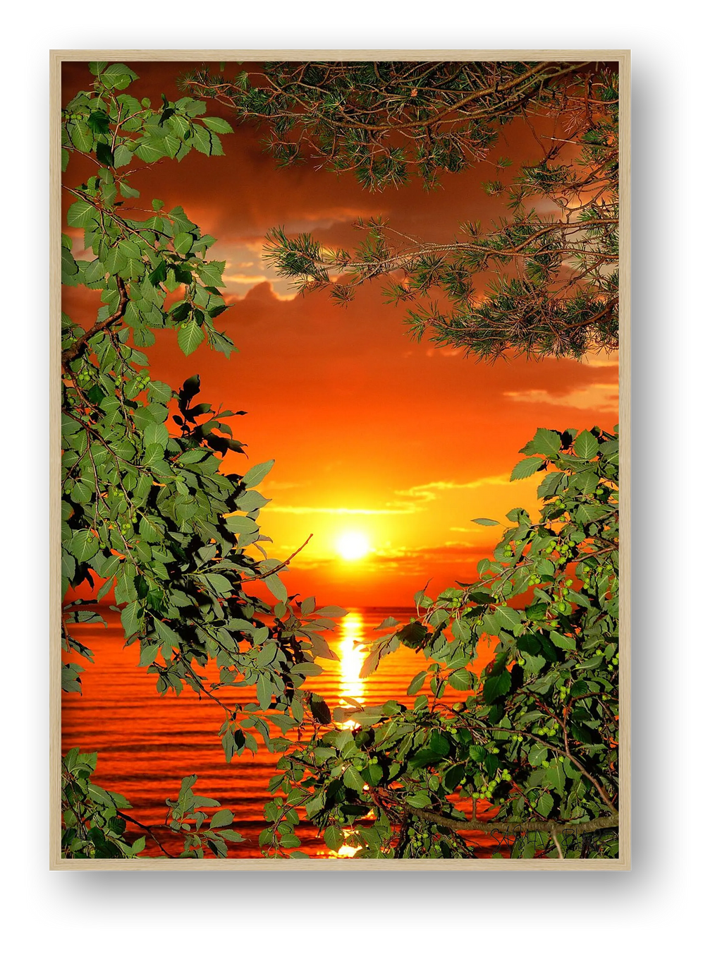 Magic Sunset - Limited Edition — framed