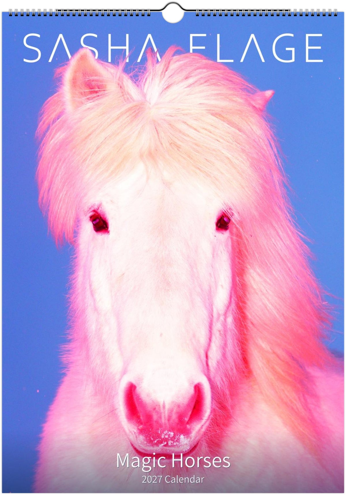 2027-magic-horses-calendar