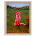 His Royal Pinkness - Framed Canvas