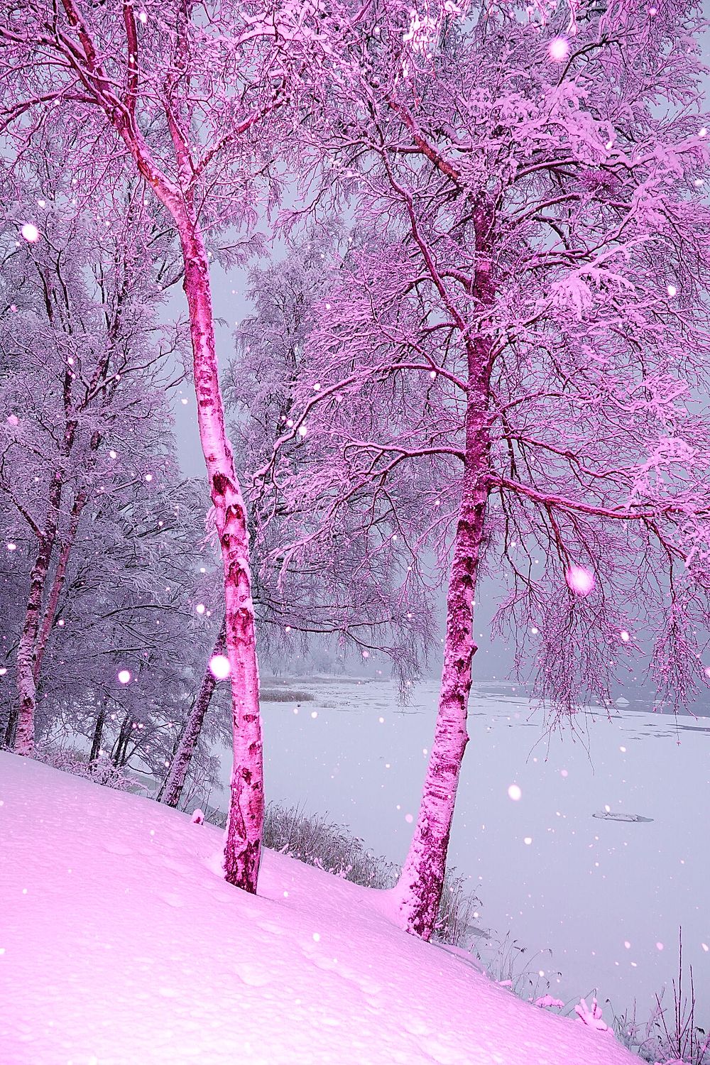 Pinkturesque - Limited Edition