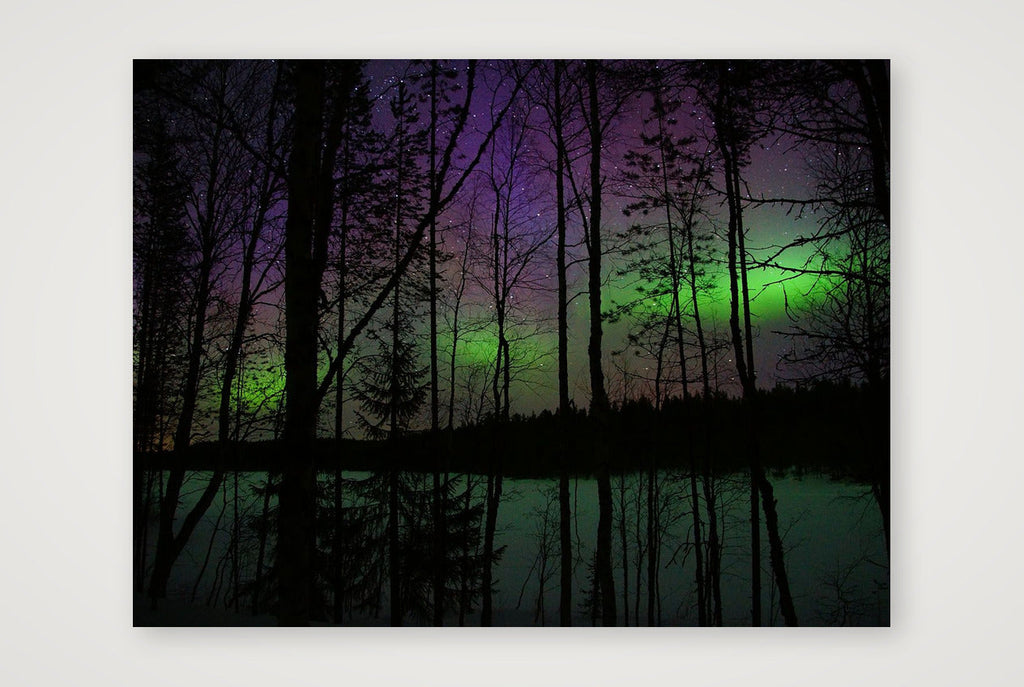 The Green Veil-Limited edition — 80×60cm, 31×24" Print only
