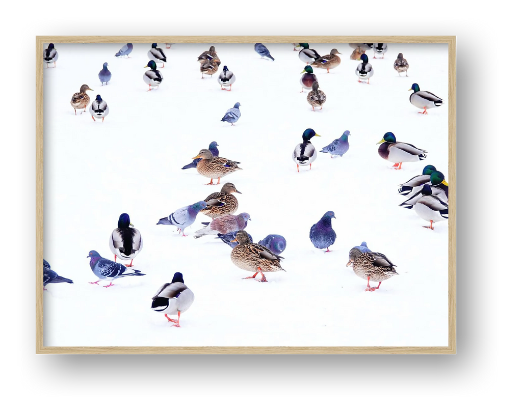 The Gathering 1-Limited Edition — framed