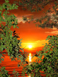 Magic Sunset - Limited Edition