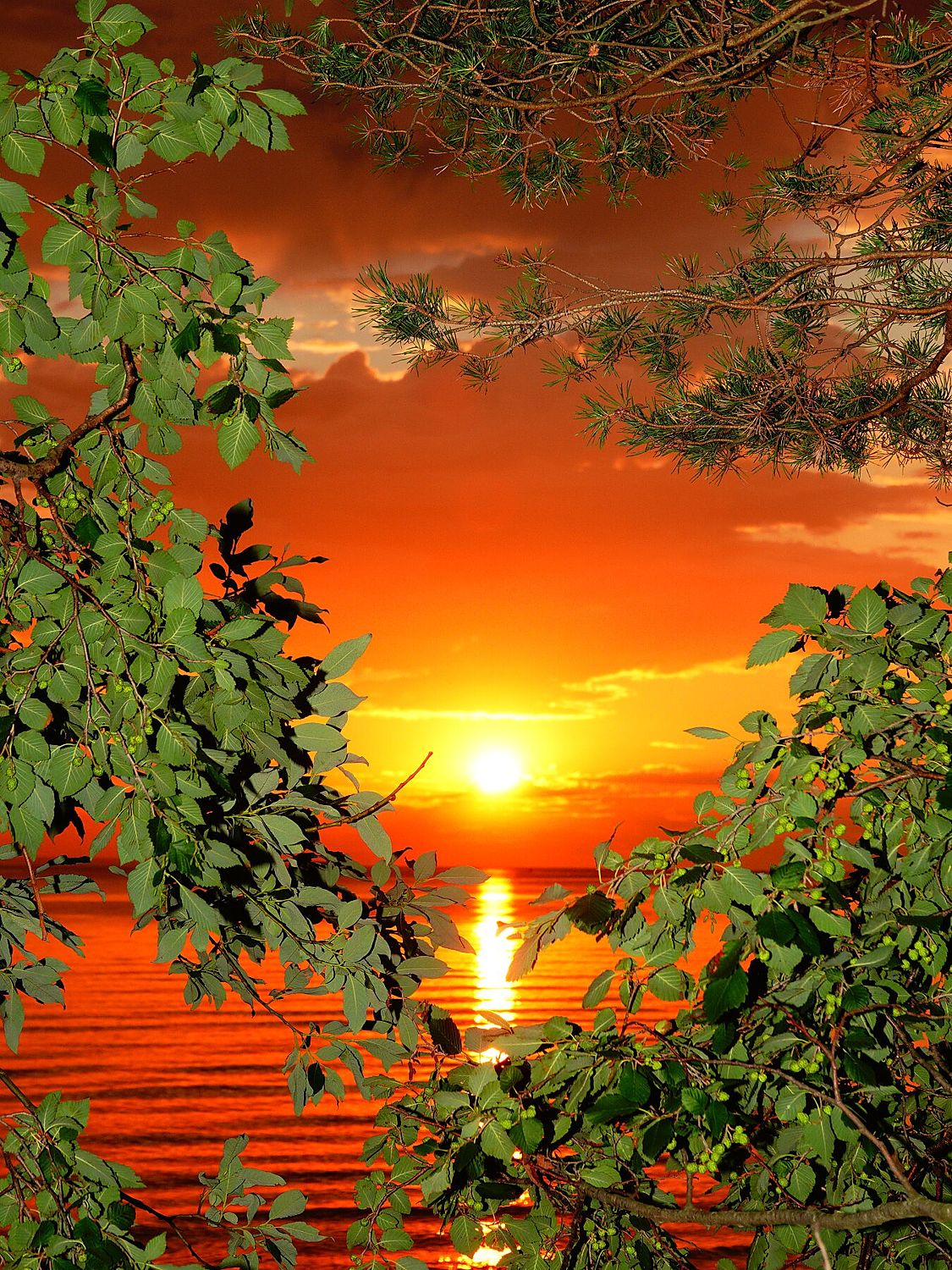 Magic Sunset - Limited Edition