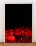 Eyes of the Night - Limited Edition