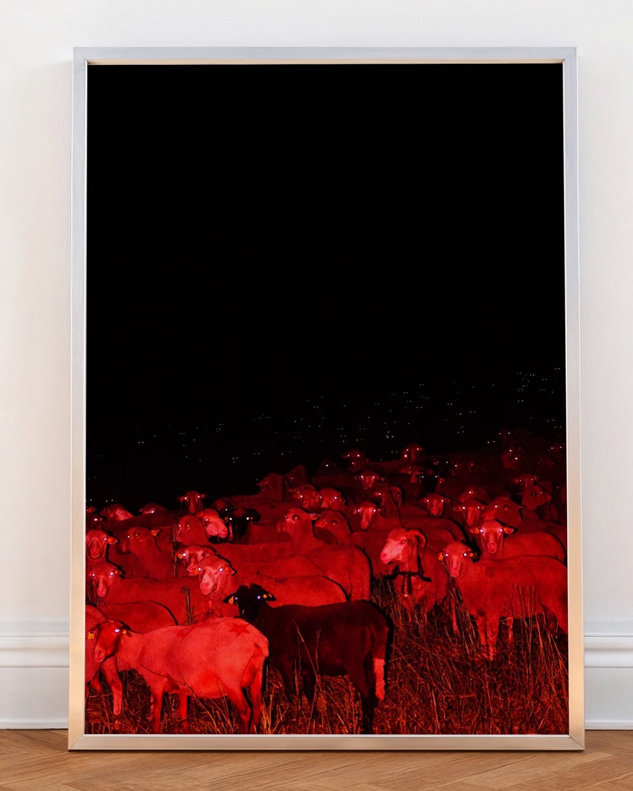 Eyes of the Night - Limited Edition