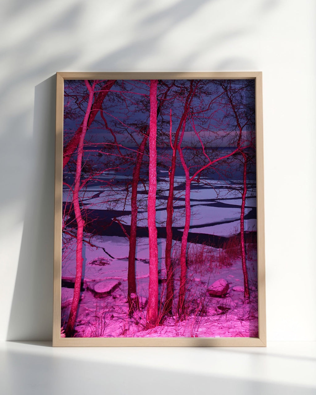 Frozen in Pink - Limited Edition