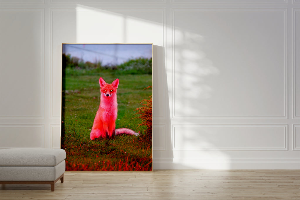 His Royal Pinkness - Limited Edition