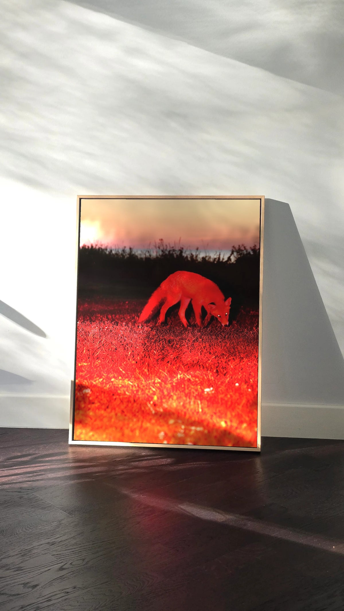the-red-fox-framed-canvas