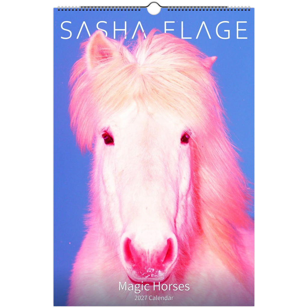2027 Magic Horses Calendar