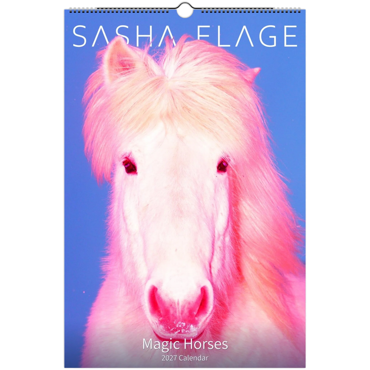 2027-magic-horses-calendar