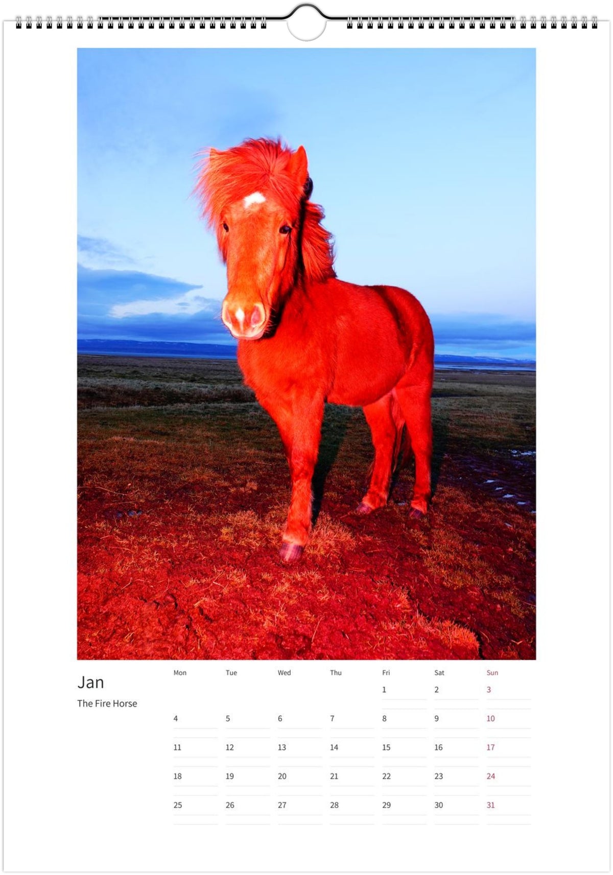 2027 Magic Horses Calendar