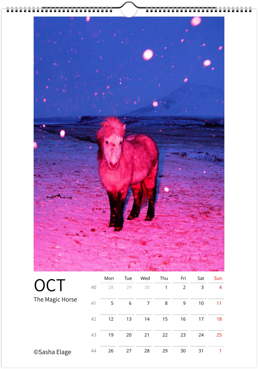 Icelandic Horses 2026 Calendar