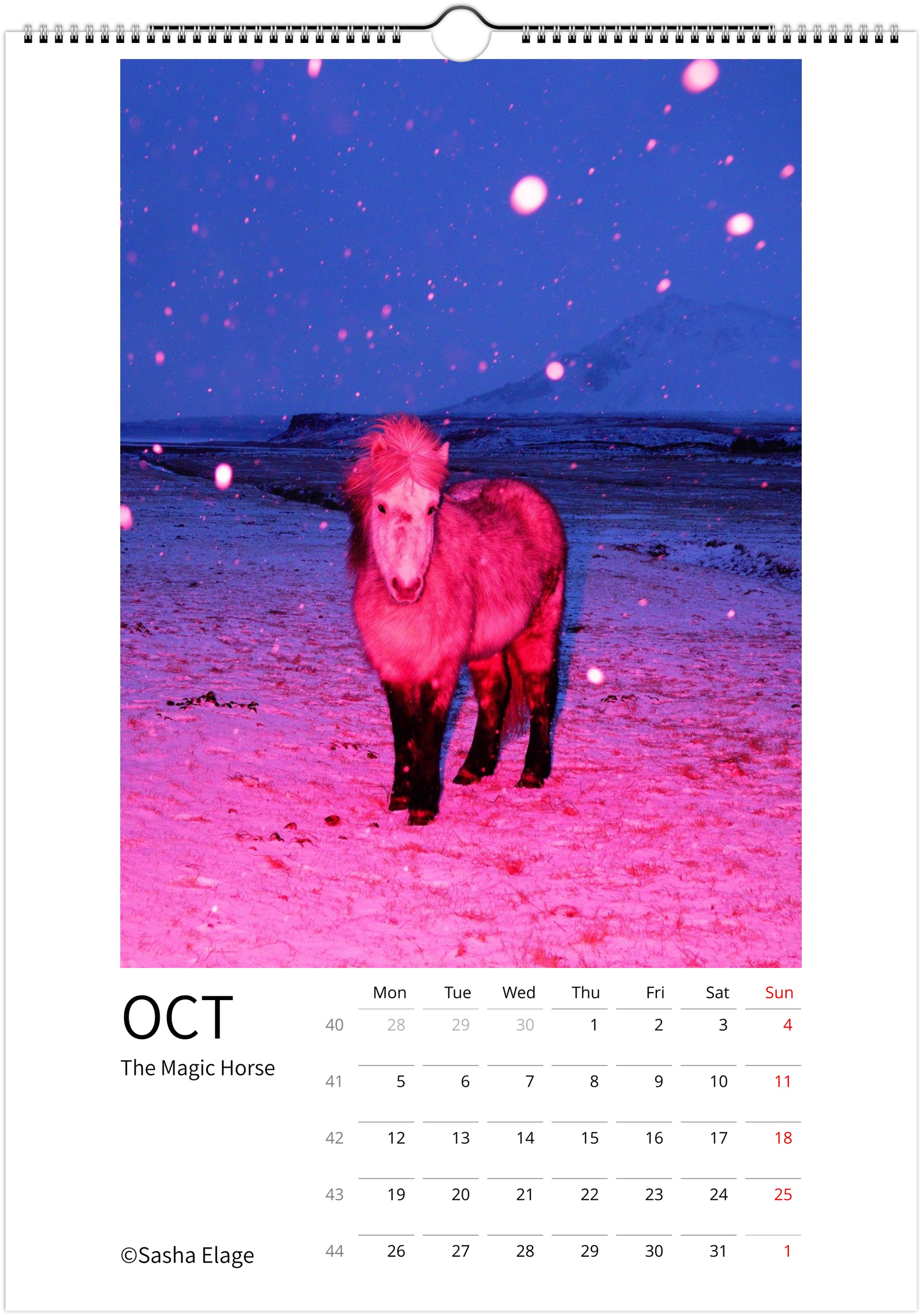 Icelandic Horses 2026 Calendar