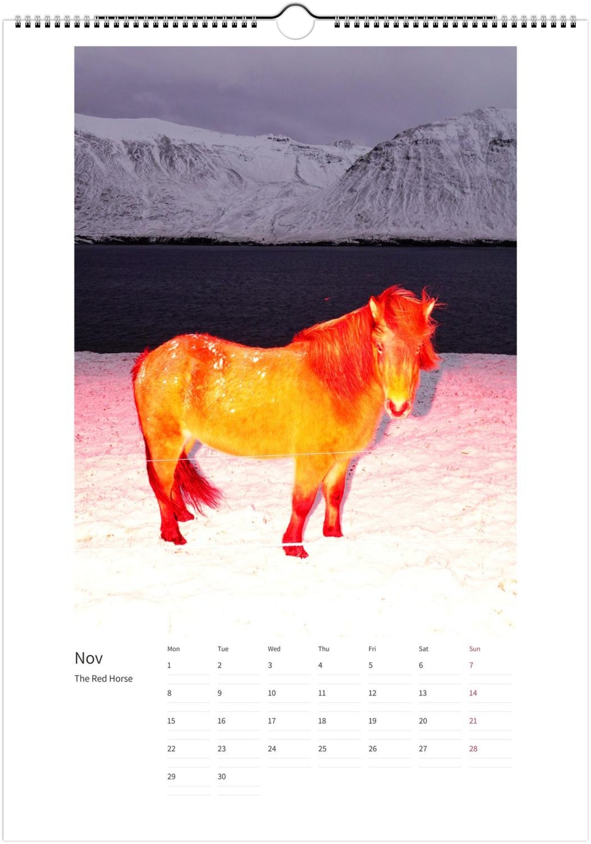 2027 Magic Horses Calendar