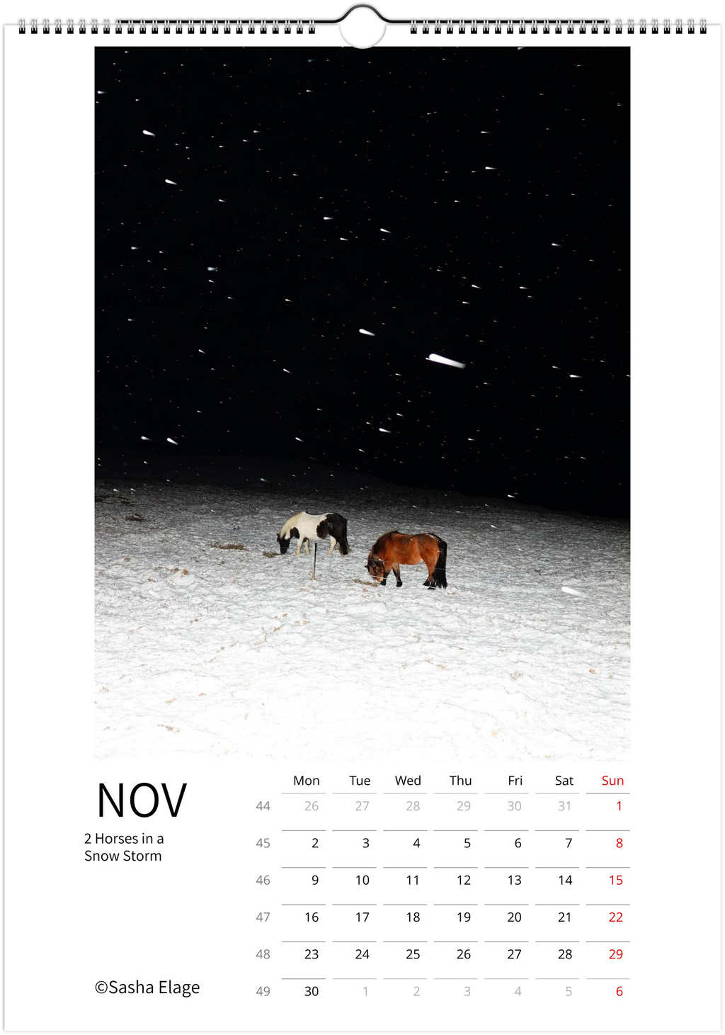 Icelandic Horses 2026 Calendar
