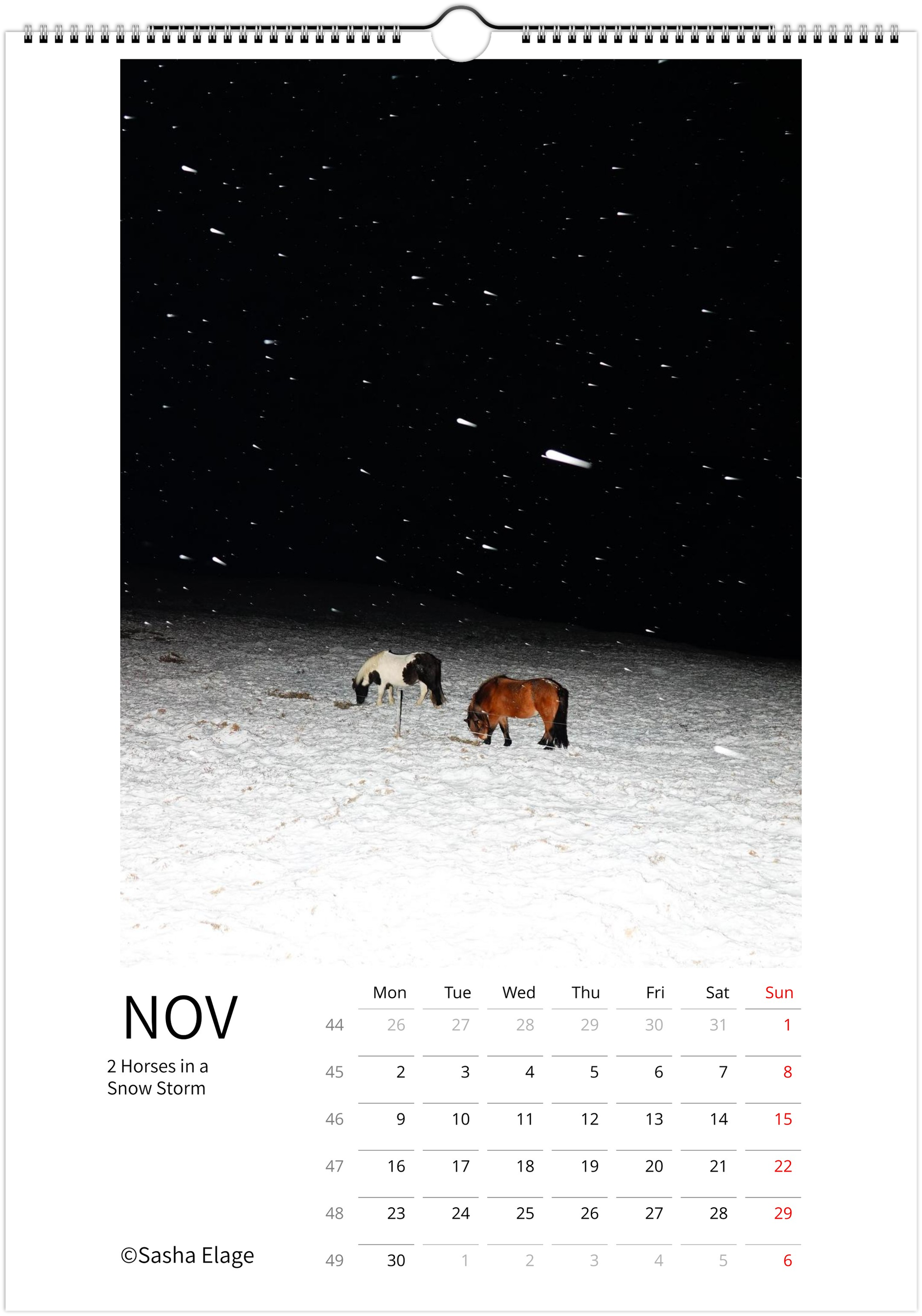 Icelandic Horses 2026 Calendar