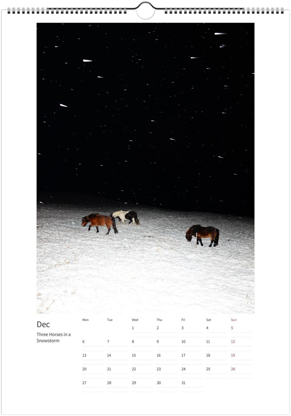 Magic Horses 2027 calendar, December