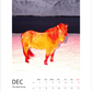 Magic Horses 2026 Calendar