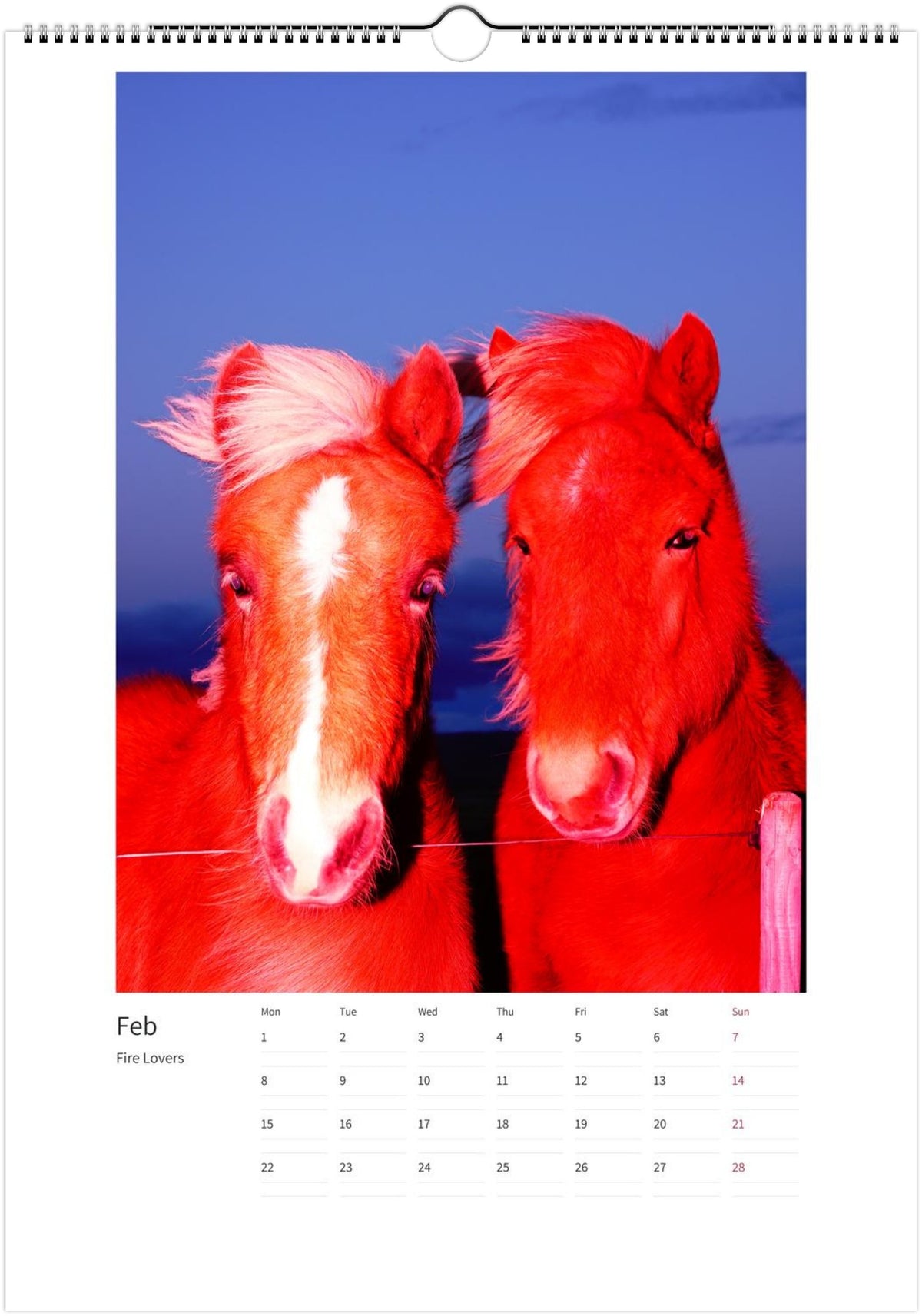 2027-magic-horses-calendar