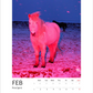Magic Horses 2026 Calendar