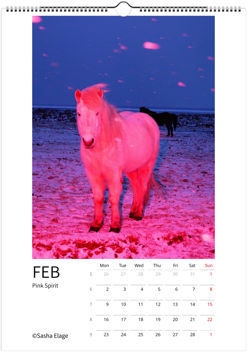 Icelandic Horses 2026 Calendar