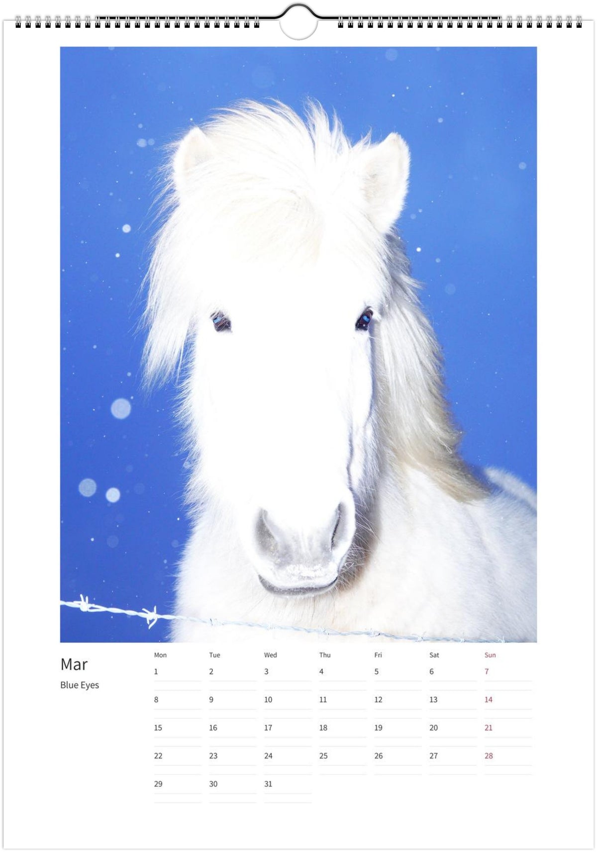 2027-magic-horses-calendar