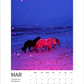 Magic Horses 2026 Calendar