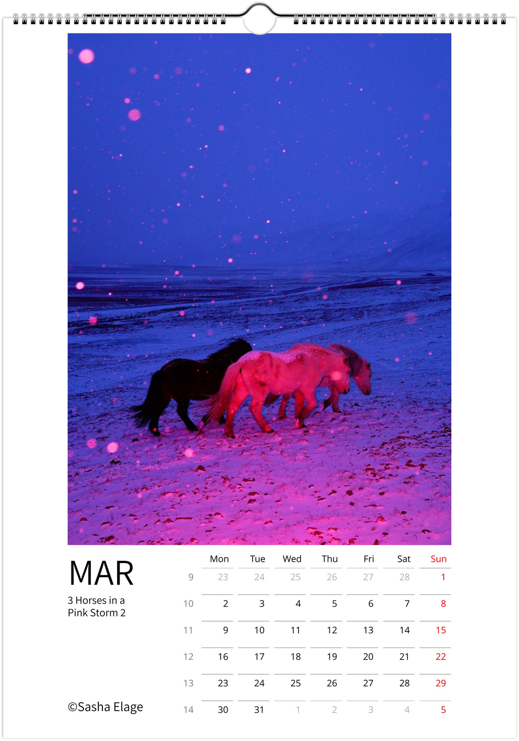 Icelandic Horses 2026 Calendar