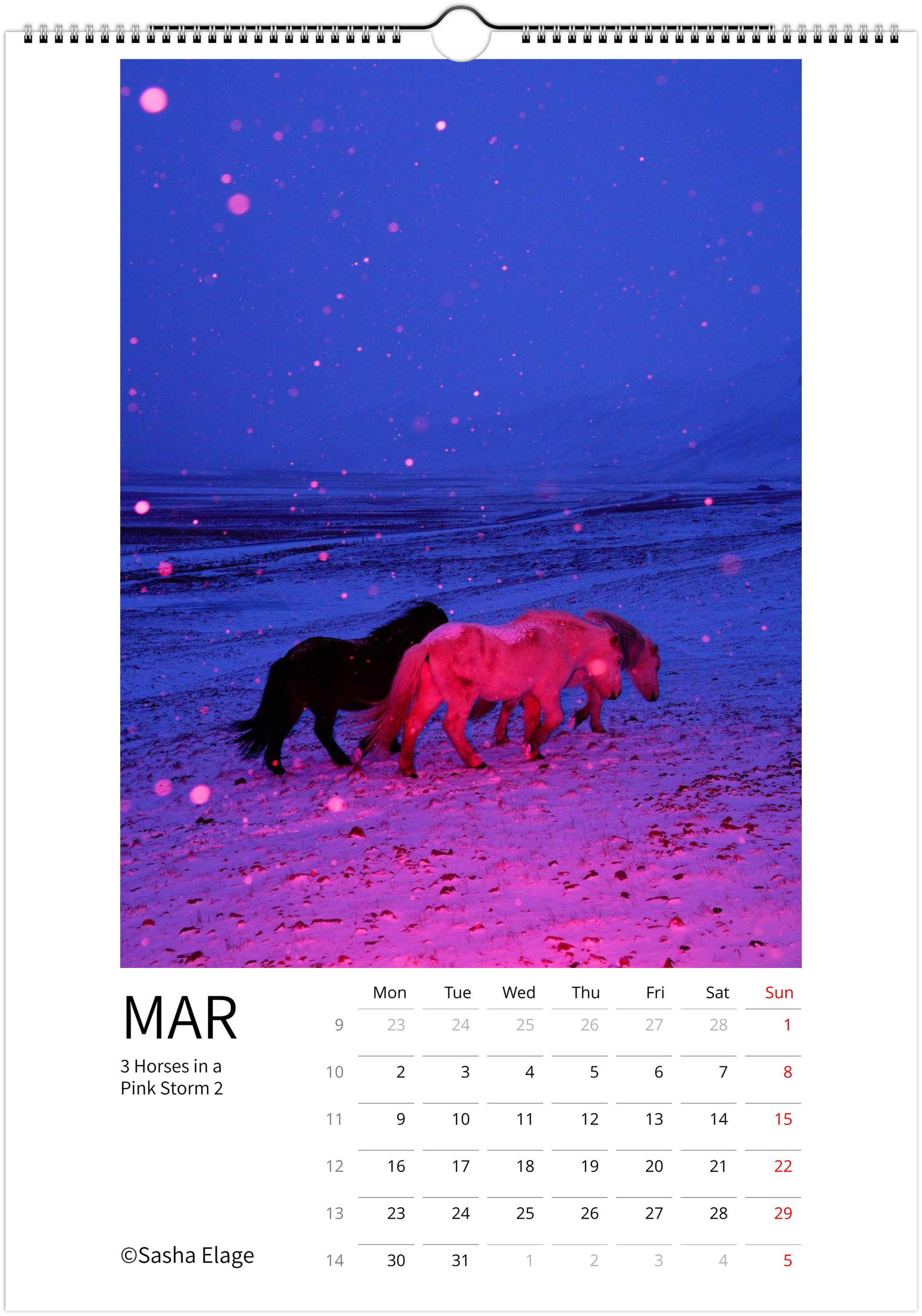 Icelandic Horses 2026 Calendar