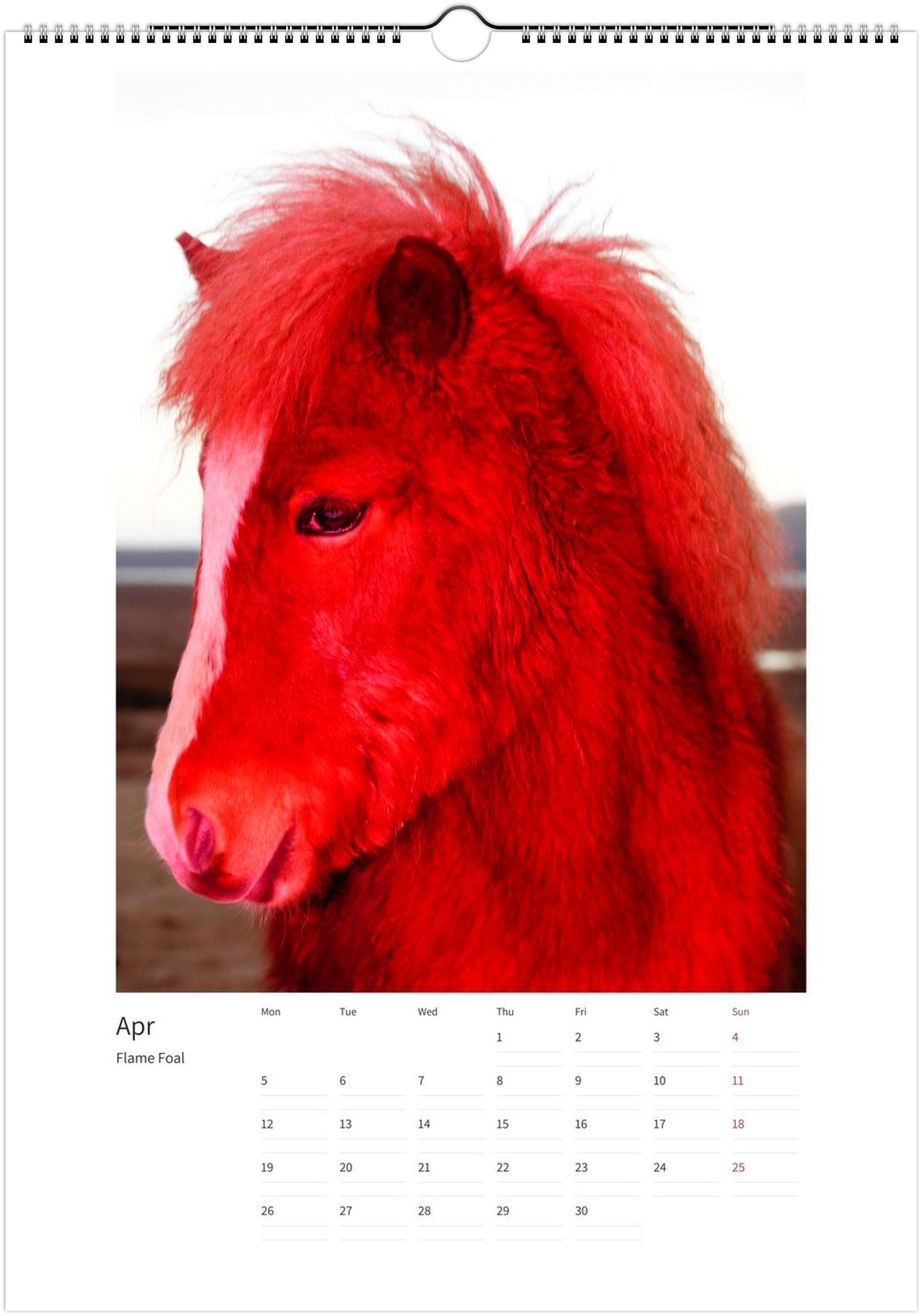 2027-magic-horses-calendar