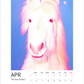 Magic Horses 2026 Calendar