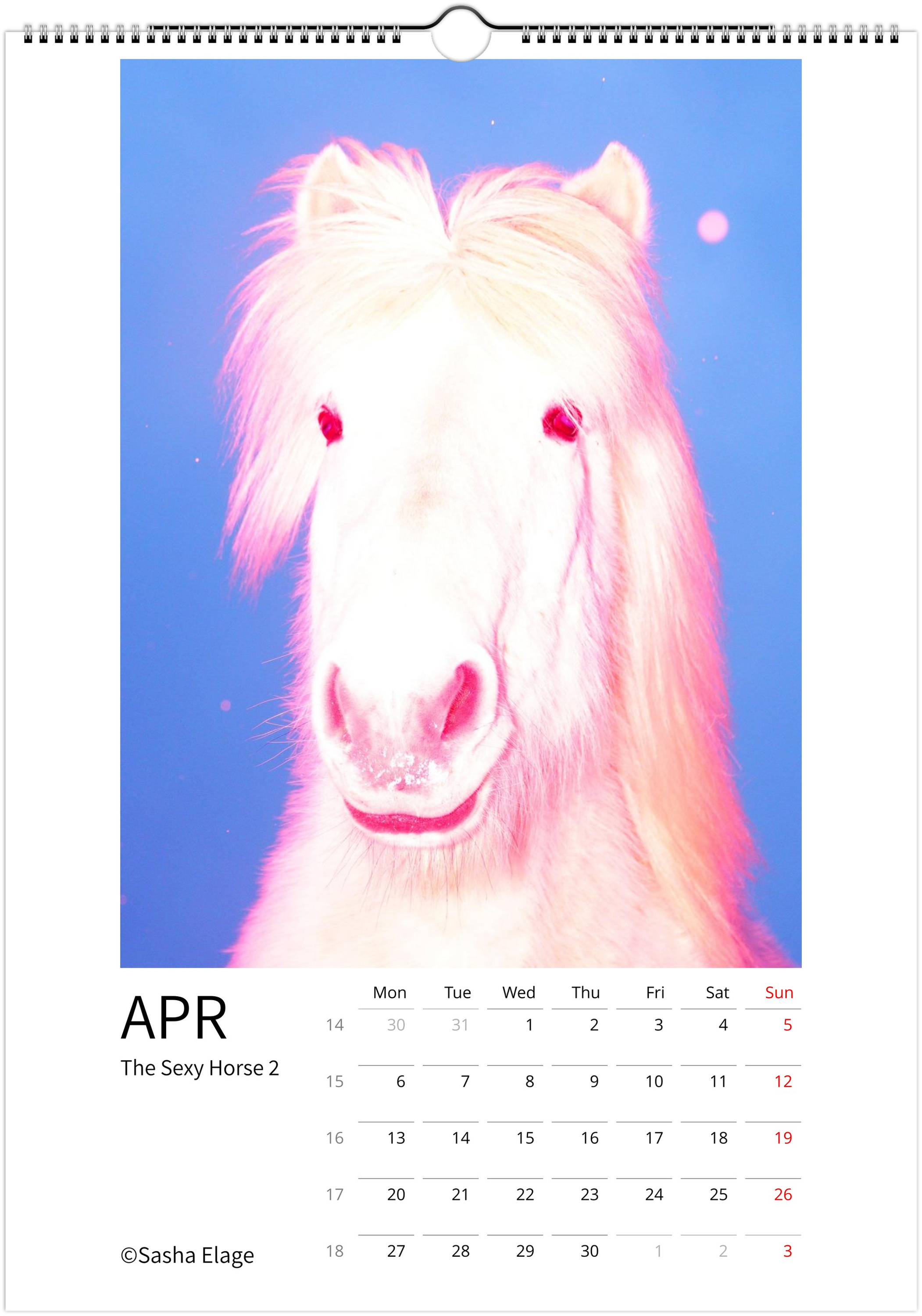 Icelandic Horses 2026 Calendar