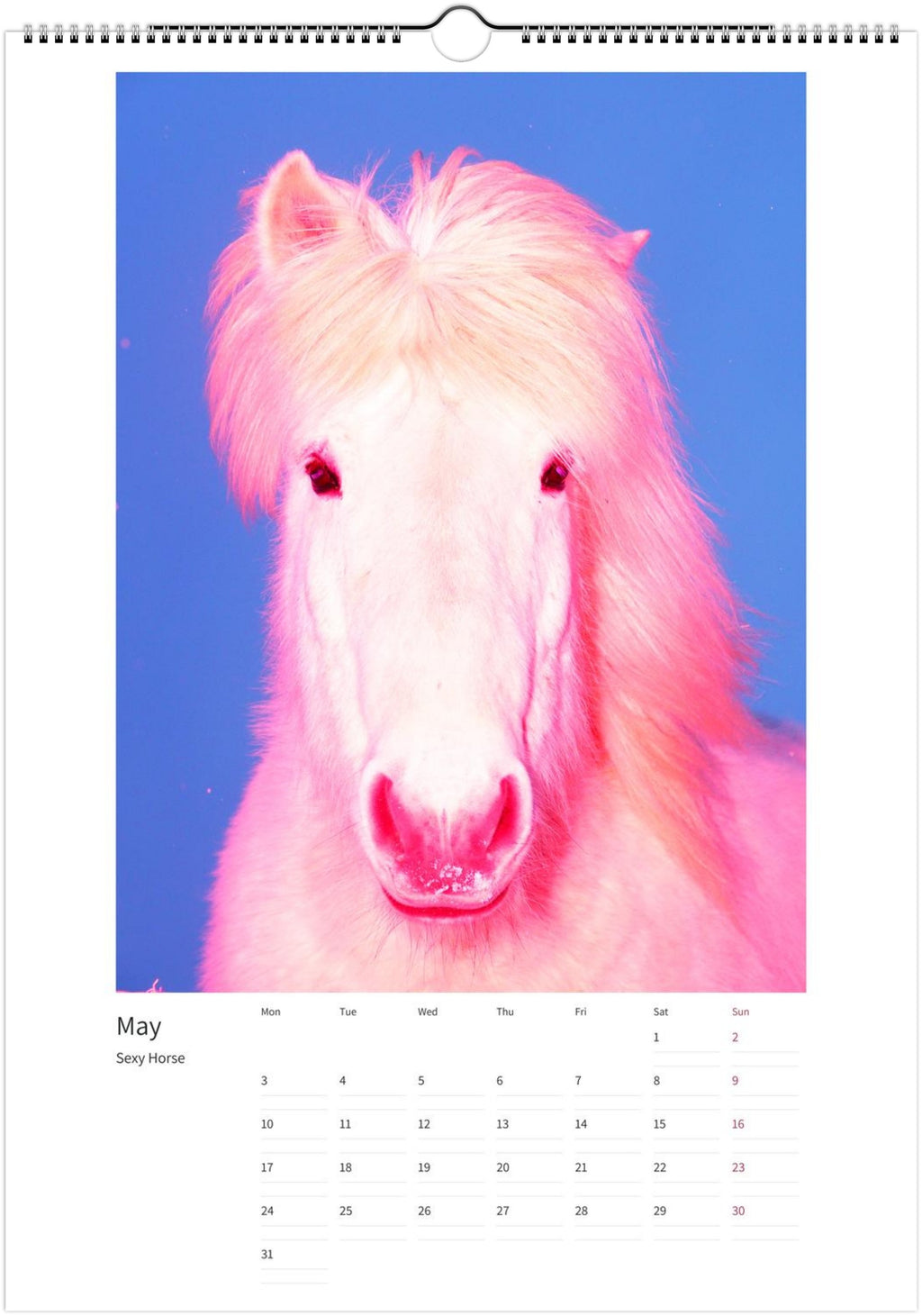 Magic Horses 2027 calendar, May
