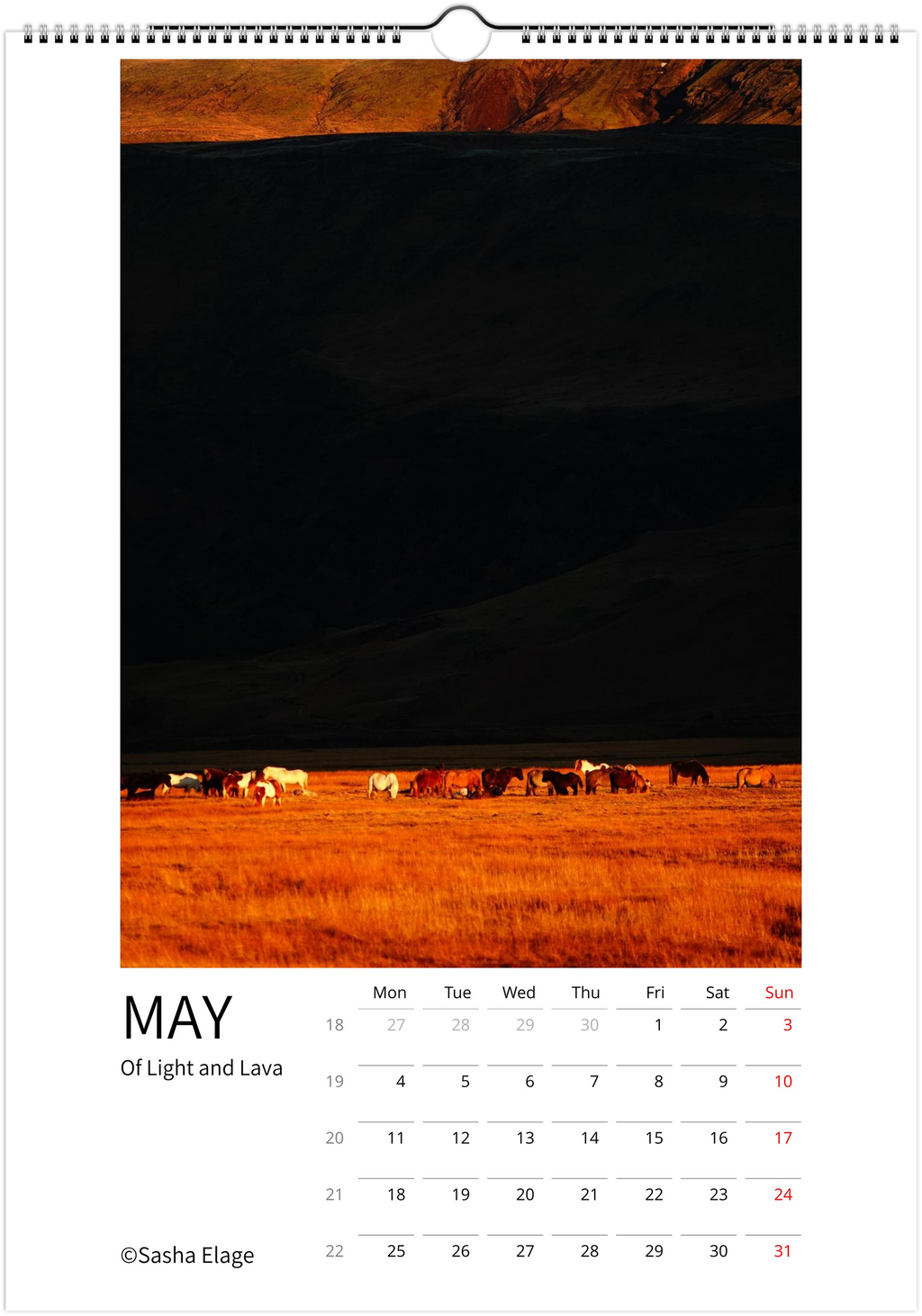 Icelandic Horses 2026 Calendar