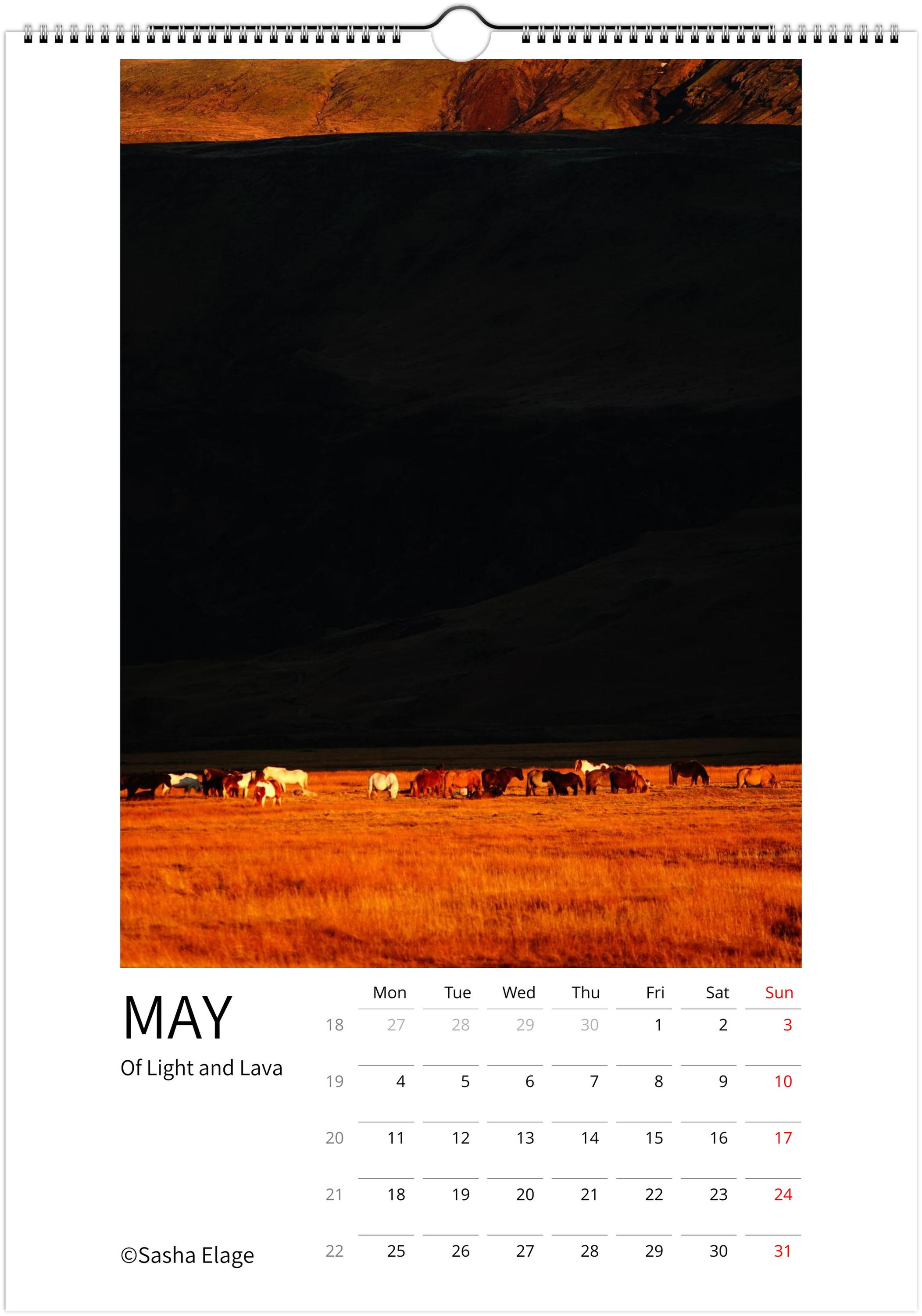 Icelandic Horses 2026 Calendar