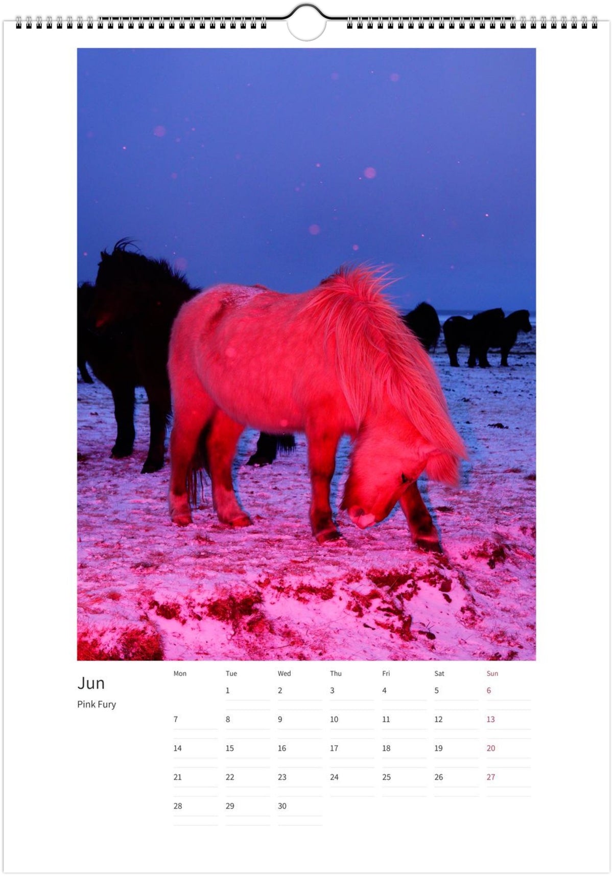 2027 Magic Horses Calendar