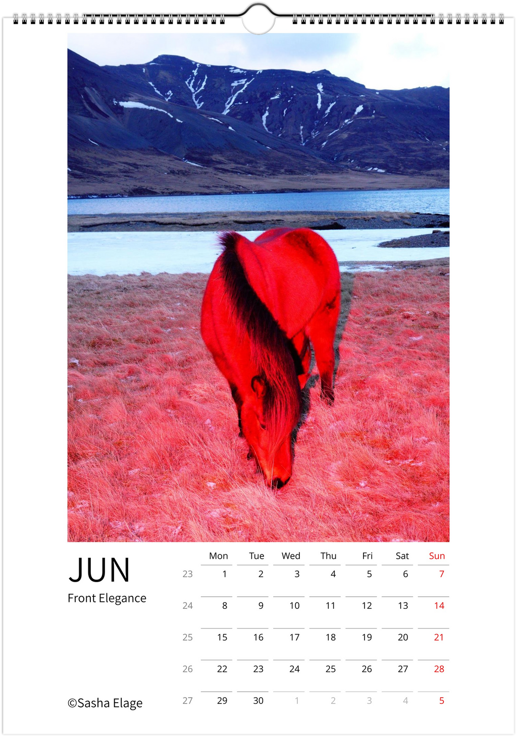 Icelandic Horses 2026 Calendar