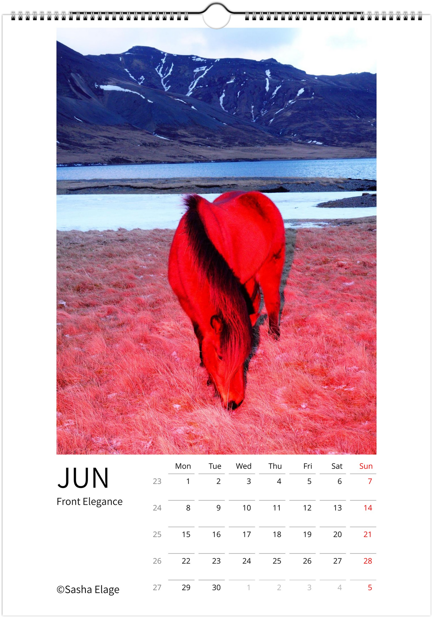 Magic Horses 2026 Calendar