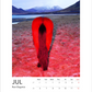 Magic Horses 2026 Calendar
