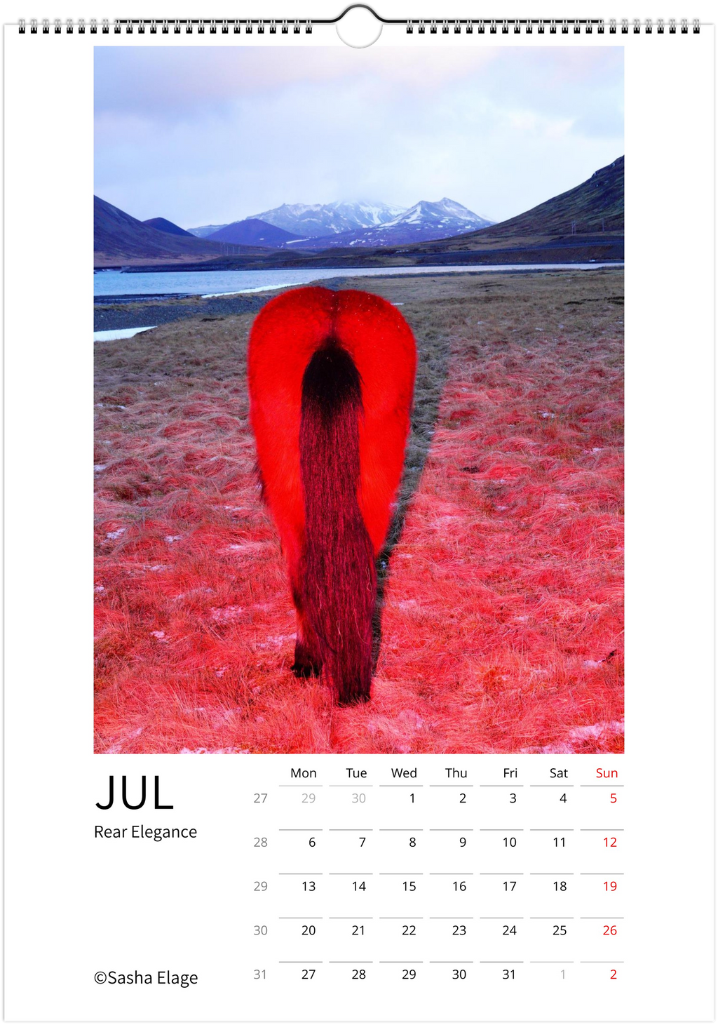 Icelandic Horses 2026 Calendar