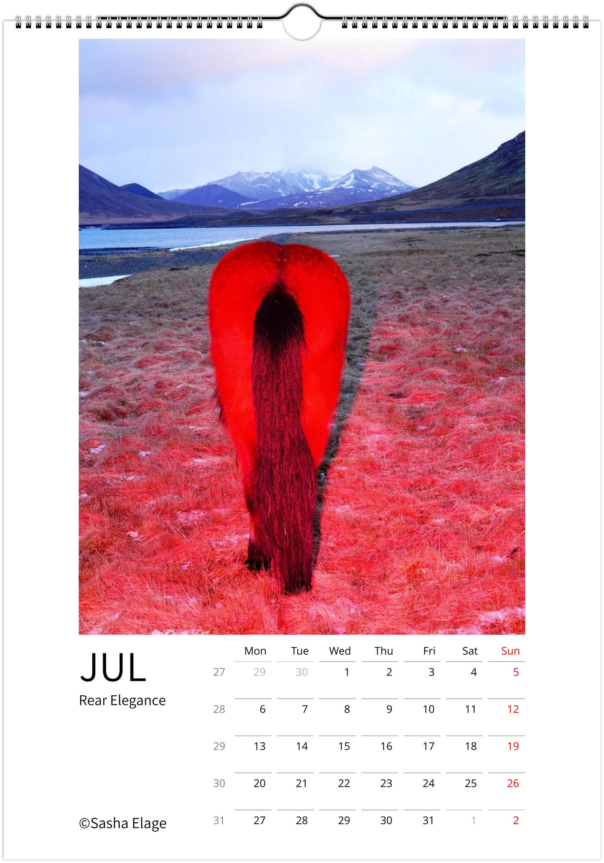 Icelandic Horses 2026 Calendar
