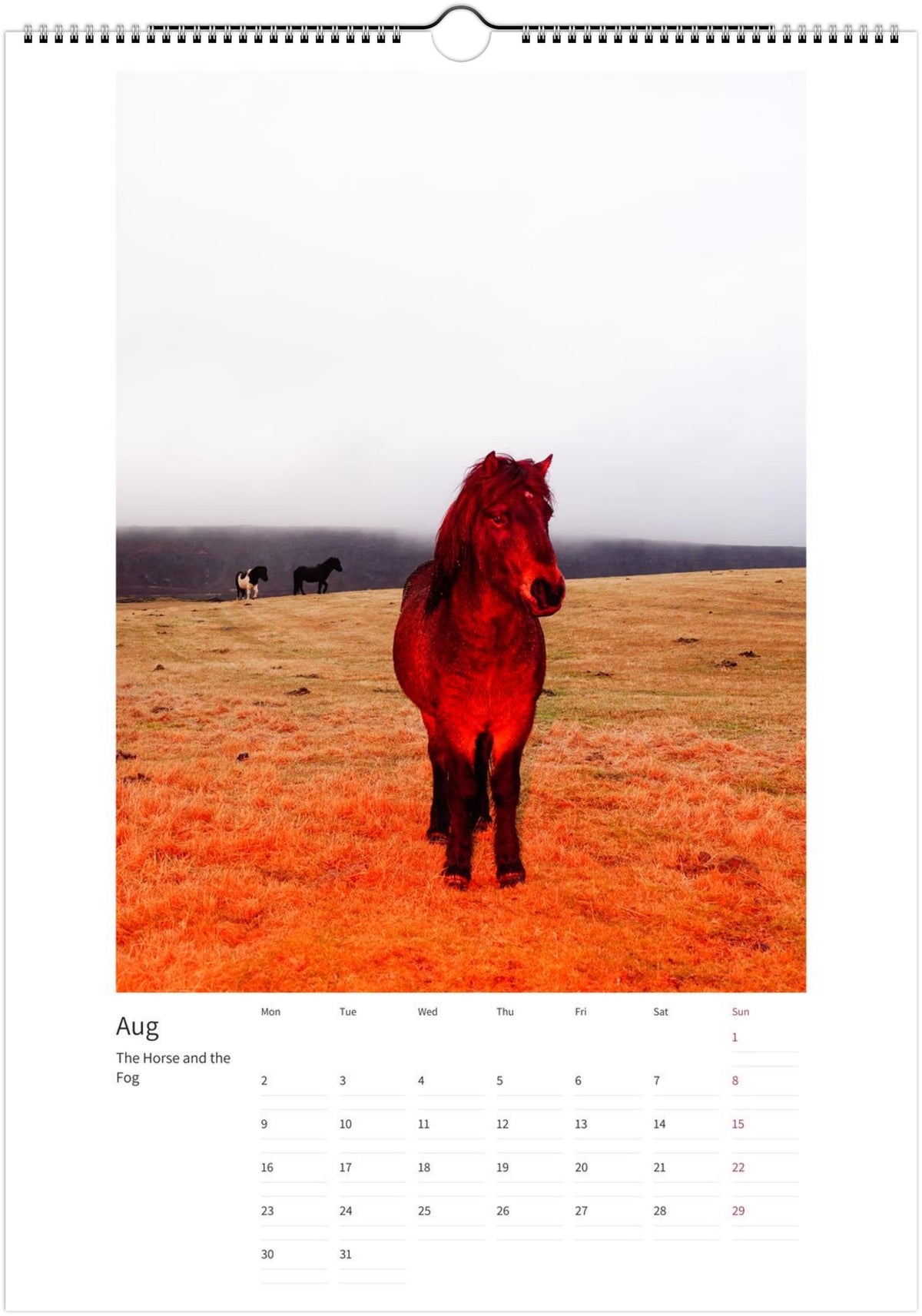 2027 Magic Horses Calendar