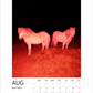 Magic Horses 2026 Calendar