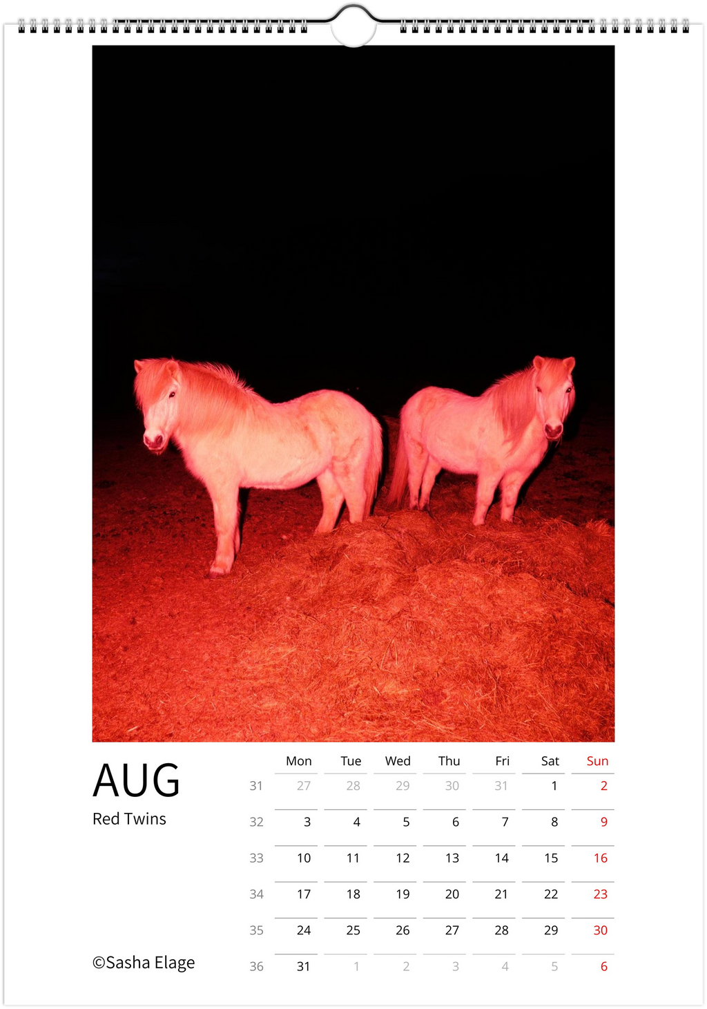 Icelandic Horses 2026 Calendar