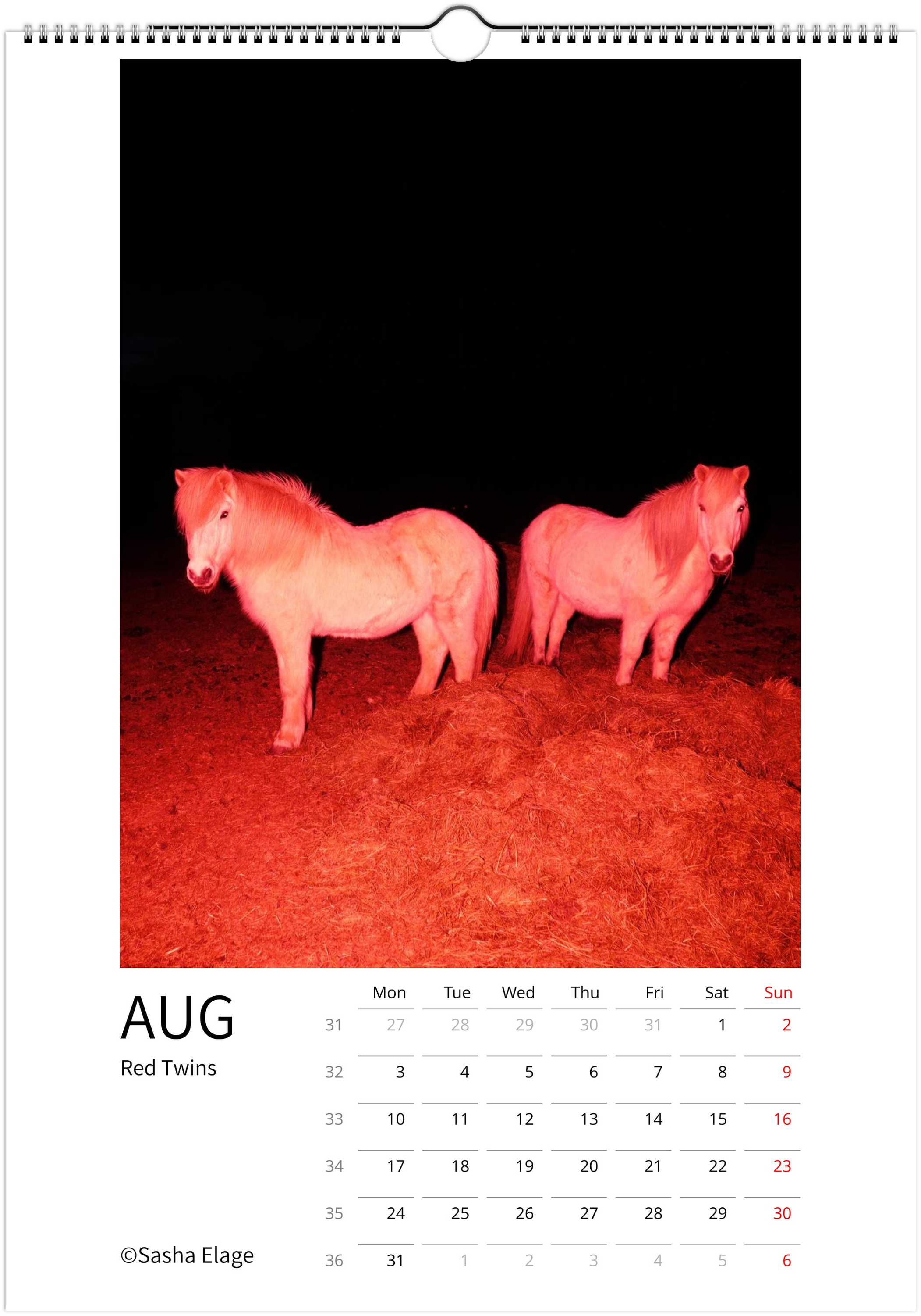 Icelandic Horses 2026 Calendar